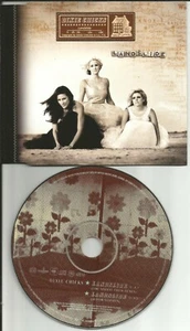 DIXIE CHICKS Landslide w/ RARE SHERYL CROW REMIX EUROPE PROMO DJ CD single 2002 - Picture 1 of 1