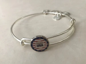 Brazalete Deslizante Alex and Ani Team Bandera EE. UU. Epoxi Acabado Plata Brillante - Imagen 1 de 3