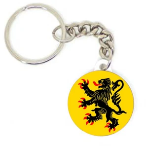 Porte clé badge blason region Nord Pas de Calais Lille cadeau personnalisé lion - Picture 1 of 2