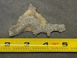COOL "STEGOSAURUS " SHAPED  FULGURITE (3") ,COACHELLA VALLEY,PALM SPRINGS, CALIF - Picture 1 of 24