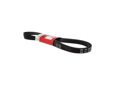 Para Dodge Dakota 1996-1997 Multi Rib Belt Motorcraft 35393CYWV 2,5 L 4 cilindros GAS Foto 1 de 2