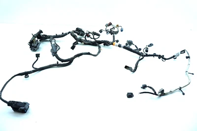 Ford Ecosport 2018-2020 2,0 L L4 gasolina motor AWD cableado arnés 43 k OEM Foto 1 de 4