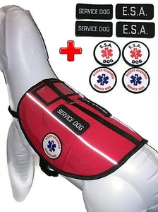 Service Dog Vest Emotional Support Animal Harness ESA Pocket ALL ACCESS CANINE™ - Picture 1 of 12