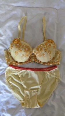 Nuevo sin etiqueta - Sujetador push up vintage bordado Triumph C70/32B y conjunto Undie Foto 1 de 4