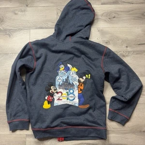 Disney Full Zip Hoodie Youth XL Gray 2018 Disneyland Mickey Goofy Dale Donald - Picture 1 of 5