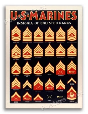 1940s Insignia of Enlisted Ranks WWII Marine Corps War Poster - 20x28