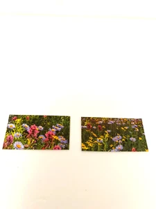 Miniature Dollhouse Wall Decor Picture - Picture 1 of 5