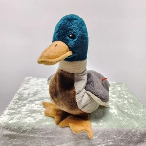 Ty Beanie Babies Jake the Mallard Duck no hang tag Plush Toy 1998 Retired! - Picture 1 of 7