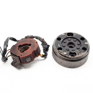 Motoplat mini 6 hierro Zündung Zündungsteile Stator Rotor für Hercules KTM etc. - Bild 1 von 7