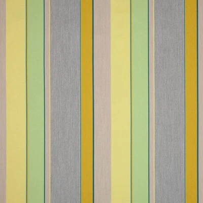 Sunbrella Dimension Upholstery 54" Expand Citronelle 14049-0002 - Image 1 of 4