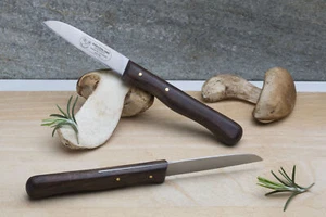 Kreuzblume Solingen Rarität Kneipchen Holzgriff Gemüsemesser Obstmesser rostfrei - Picture 1 of 2