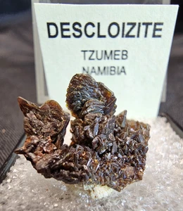 Cluster Descloizit Kristalle aus Tzumeb, Namibia, Afrika  - Bild 1 von 7