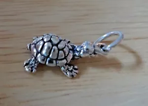 Sterling Silber 3D 17x10mm Box Schildkröte Charm! Konkaver Boden - Bild 1 von 4