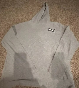 Puma Big Logo Hoodie Grau Größe L Herren - Bild 1 von 4