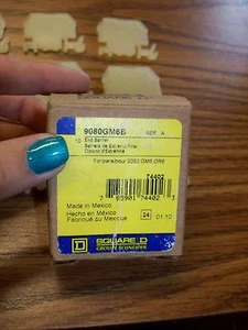 Square D End Barrier 9080GM6B Series A - Picture 1 of 2