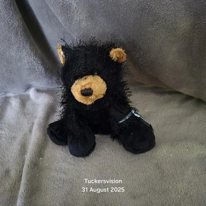 Webkinz Ganz Schwarzbär HM004 Plüsch - ohne Code - fantastischer Zustand mit Etikett - Bild 1 von 4