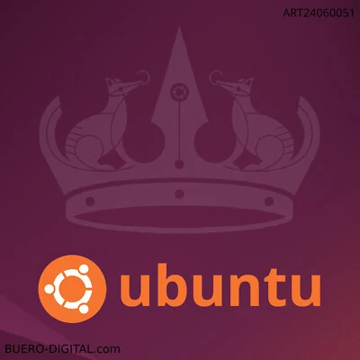 Ubuntu 24.04 LTS - Linux Betriebssystem - Live-USB-Stick -32GB USB 3.2 - Bild 1 von 4