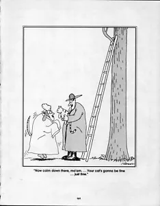 1980er Vintage Far Side COMIC STRIP Pin-Up WANDKUNST - FEUERWEHRMANN RETTET KATZE - Bild 1 von 4