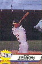 1993 Southern Oregon A's Fleer/ProCards #4068 Brandy Bergoechea