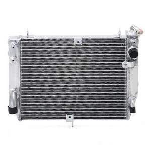 For YAMAHA YZF-R1 YZF R1 1000CC 2002-2003 Aluminum Engine Water Radiator Cooler - Picture 1 of 10