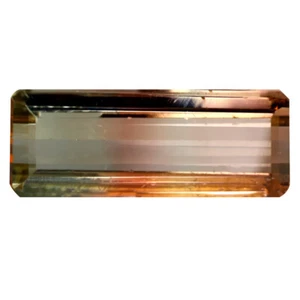 3.07 ct Octagon (15 x 6 mm) Unheated / Untreated Mozambique Bi- Tourmaline - Picture 1 of 2