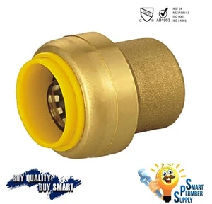 10 Stück 3/4 Zoll Push Fit Endanschlag Fitting mit 10 Jahren Garantie (117-02) - Bild 1 von 1