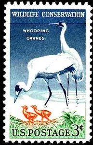 USA 1957 - Wildlife Conservation Series - Whooping Crane - MNH Stamp---Sc. #1098 - Picture 1 of 1