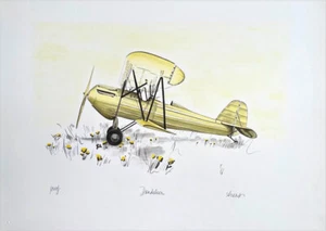 Arons DANDELION Signed Lithograph BIPLANE, Yellow Flowers, Aviation Art - Picture 1 of 7