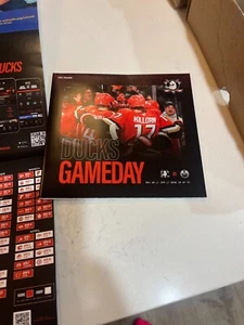 NHL Program Edmonton Oilers @ Anaheim Ducks Dec 2024/25 Sam Colangelo Poster - Picture 1 of 2