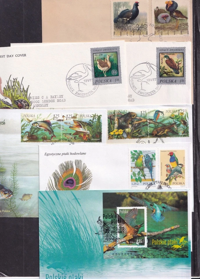 Poland Birds choice FDC pigeon grouse kestrel kingfisher budgerigar finch - Image 1 of 1