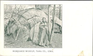 TAMA COUNTY IOWA NATIVE INDIAN MUSQUAKIE WICKIUP OLD UNDIVIDED BACK POSTCARD - Picture 1 of 2