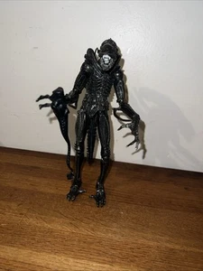 NECA ALIENS SERIE 1 2013 GUERRIERO XENOMORFO MARRONE ORO FIGURA ALIENO VS PREDATORE - Foto 1 di 6