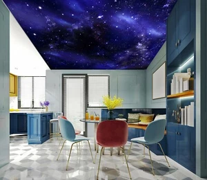 3D Starry Sky NA4640 Ceiling WallPaper Murals Wall Print Decal Deco AJ WALL Fay - Picture 1 of 5