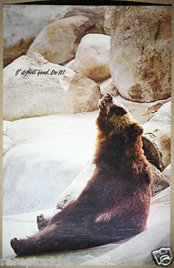 Betty Adams if it feels good do it Vintage Bear Poster 1970's - Picture 1 of 3