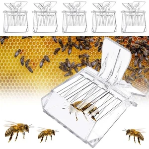 Juego de 5 PIEZAS Clips de plástico transparente para jaula de abeja reina apicultura - Imagen 1 de 10