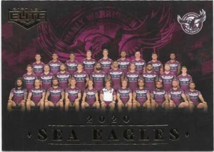 2020 Nrl Elite Teams (CL 06 / 16) SEA EAGLES - Picture 1 of 1