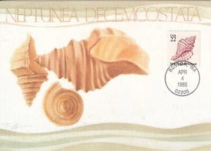USA 1985 FIVE FIRST DAY COVER ON MAXI CARD SEA SHELLS - Picture 1 of 10