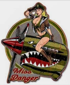 2-PACK SEXY PIN UP GIRL HOT ROD RAT FINK BIKER MOTORCYCLES TOOLS GUNS STICKERS - Picture 1 of 1