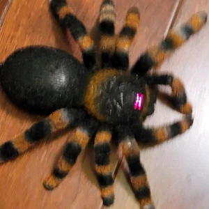 National Geographic RC Remote Control Tarantula Brand New 2006!!! - Picture 1 of 11