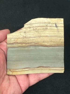 3-3/4" x 3-15/16" x 1/4"  Picture Jasper Slab for Cabbing or Display - Image 1 of 3