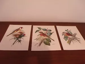 "ESTAMPADOS LITOGRÁFICOS DE AVES DONALD ART COMPANY DE COLECCIÓN 12"" X 9" - Imagen 1 de 4