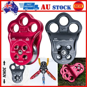 Rock Climbing Pulley Double-Bearing 30KN Heavy Lifting Rappelling Tending Pulley - Picture 1 of 14