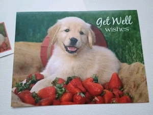 Get Well Soon Greeting Card with Matching Envelope Puppy Dog Strawberry - Picture 1 of 7