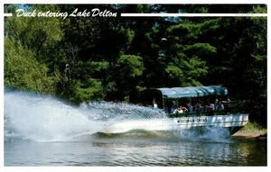 Postal de colección de patos de Wisconsin entrando en el lago Delton Splash Ride - Imagen 1 de 2