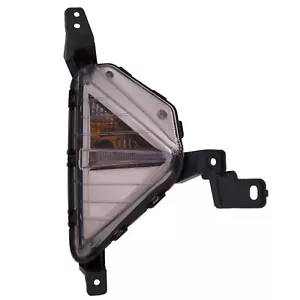 Signal Light Fits 19-20 Hyundai Elantra CAPA Certified Right Passenger Assembly - Bild 1 von 8