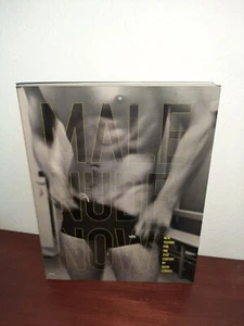 Male Nude Now: New Visions for the 21st Century Paperback David Leddick - Picture 1 of 1