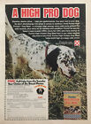 1977 Purina High Protein Dog Meal Magazine PUBLICITÉ IMPRIMÉE Setter anglais