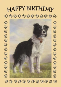 BORDER COLLIE STANDING DOG GREAT BIRTHDAY GREETINGS NOTE CARD - Foto 1 di 1
