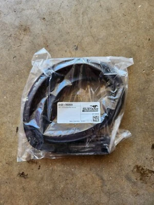 Ford Mustang D1ZZ-7602626 1971-1972-1973 convertible sellos de poste de pilar Foto 1 de 2