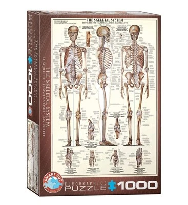 Rompecabezas Eurographics The Skeletal System 1000 piezas velocidad rompecabezas  Foto 1 de 4